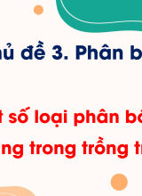 CN Trồng trọt - Bài 7. Một số loại phân bón thường dùng trong trồng trọt